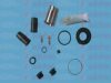 AUTOFREN SEINSA D41085C Repair Kit, brake caliper